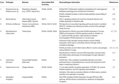 Wnt Signaling: Pathogen Incursion and Immune Defense